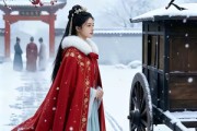 短剧《雪落不归人》60集短剧高清无删减免费观看