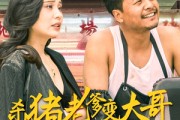 短剧《老彪进城》67集短剧手机高清版在线看