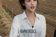 短剧《麦田起飞时》62集短剧全剧集免费在线追