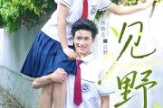 短剧《见野》79集短剧全集在线流畅不卡顿