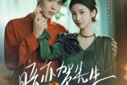 短剧《暗恋贺先生的第八年》87集短剧蓝光画质全集免费欣赏