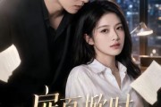 短剧《扉页掀时逢故人》80集短剧1080P在线观看无广告