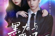 短剧《黑龙与恶凤》61集短剧免费在线看至大结局