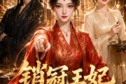 短剧《销冠王妃致富指南》64集短剧无广告在线观看