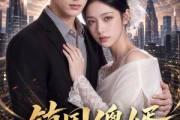 短剧《镇国傻婿：绝美老婆爱疯我了》100集短剧无广告在线播放