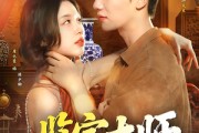 短剧《鉴宝大师》102集短剧超清无广告免费观