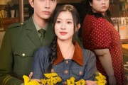 短剧《七零肥妻大翻身》79集短剧极速播放版一口气看完