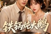 短剧《铁锅炖大鹅》116集短剧全集在线看无卡顿