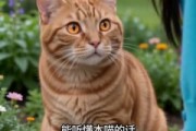 短剧《萌宠助攻甜甜恋爱》30集短剧1080P在线免费观影