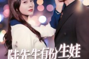 短剧《陆先生有份生娃订单请签收》70集短剧全集高清在线，一口气追完不等待