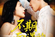 短剧《不期而遇的33天》45集短剧高清全集免费在线赏