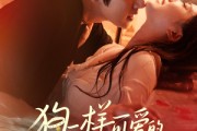 短剧《狗一样可爱的老板》63集短剧免费在线看完整剧情