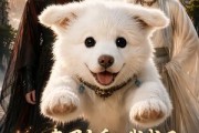 短剧《心声剧透，我成了反派宗门的掌心宝》59集短剧1080P在线看全集