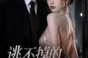 短剧《逃不掉的沈先生》41集短剧无删减免费观看