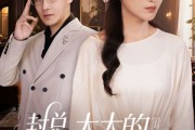 短剧《封总，太太的离婚生效了》82集短剧全集剧情抢先在线观看