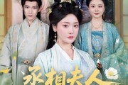 短剧《丞相夫人，今天休夫了》60集短剧高清在线畅享全集