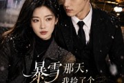 短剧《暴雪那天，我捡了个老公》58集短剧超清画质在线追剧