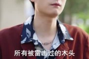 短剧《透视，我的林场遍地黄金》85集短剧在线解锁全集观看