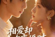 短剧《相爱却在离婚时》61集短剧在线观看完整版资源