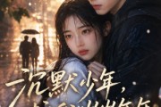 短剧《沉默少年，护我岁岁年年》40集短剧超清画质免费畅享