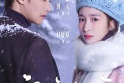 短剧《穿过京北的雪》80集短剧高清全集免费在线赏