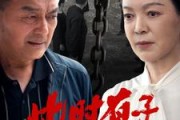 短剧《此时有子不如无（78集）》子嗣之谜，人生的另一番风景