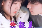 短剧《总裁是闪婚老公（21集）》闪婚总裁的浪漫攻略