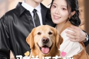 短剧《驭兽师直播听动物心声吃瓜破案》73集短剧高清无删减版在线观看