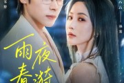 短剧《雨夜春漪》66集短剧1080P高清免费观看