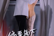 短剧《偏要摘下这朵野玫瑰》60集短剧高清流畅在线免费看