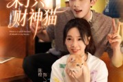 短剧《我家来了只财神猫》80集短剧超清画质在线畅看