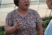 短剧《桥塌了，全村慌了！》30集短剧超清画质在线免费观看