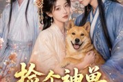 短剧《捡个神兽当相公》54集短剧在线畅享全集不收费