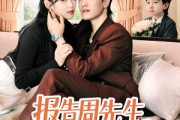 短剧《报告周先生夫人带娃回来了》80集短剧全集免费高清在线观看