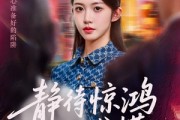 短剧《静待惊鸿入翁慌》40集短剧1080P高清在线观看