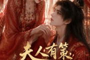 短剧《夫人有策，夫君为民请命》33集短剧超清无广在线速看