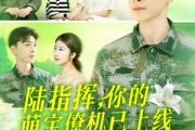 短剧《陆指挥你的萌宝僚机已上线》169集短剧高清流畅在线观看