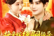 短剧《换亲嫁绝嗣领导打跑反派小人》100集短剧无广告全集观看