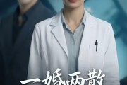 短剧《一婚两散，此生不相逢》33集短剧高清全集免费看