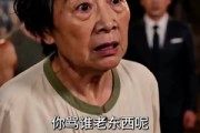 短剧《远居豪宅不如近守温情》48集短剧超清画质免费看全集