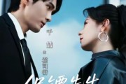 短剧《保镖先生，结个婚》67集短剧高清无删减版免费观看