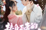 短剧《替身正妻的计中计》77集短剧全集高清版免费追剧