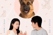 短剧《穿越汪星来爱你》62集短剧全集免费看完整版