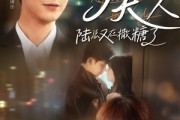 短剧《报告夫人陆总又在撒糖了》69集短剧全集高清不卡顿在线赏