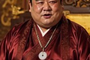 短剧《闯皇宫者何人？江湖一介麻衣》50集短剧1080P超清在线追