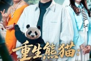 短剧《重生熊猫：开局太极拳震惊全球》70集短剧免费在线看完整大结局