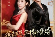 短剧《报告苏总，您找的赞婿是龙神殿主》72集短剧全集超清画质观看