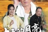 短剧《十五的月亮十六圆》60集短剧免费追剧看完整版