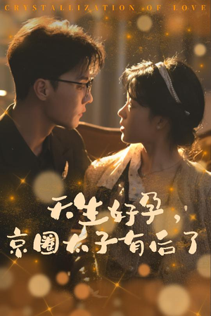 你与光共落人间（30集）夸克网盘在线看