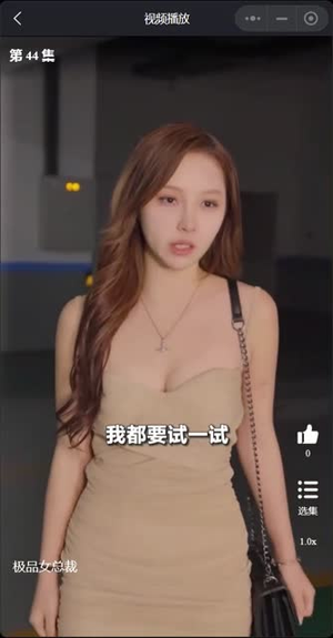 我的极品女总裁（全集）免费观看